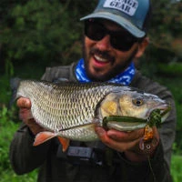 Savage Gear 3D Cicada Lures 3.3cm/3.5g